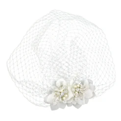 Sass B β Starlet Birdcage Veil